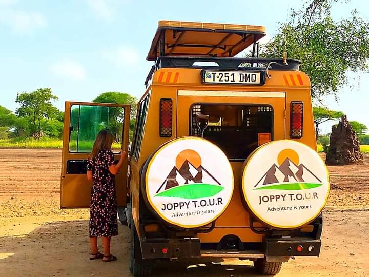 joppy-tours